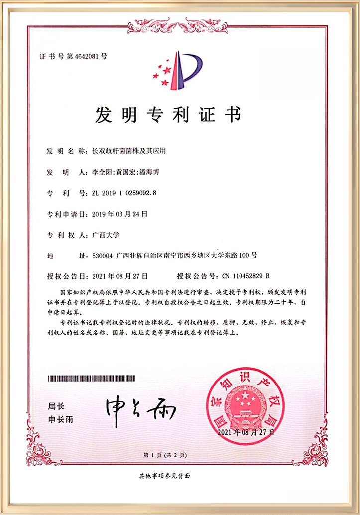长双歧杆菌菌株及其应用
