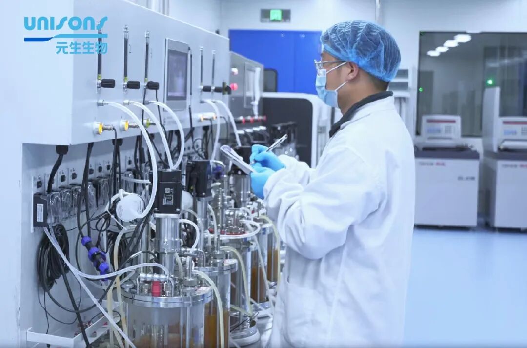 荣耀加冕！BeeAngel蜜蜂天使益生菌斩获一级菌认证 引领国产益生菌行业变革(图2)